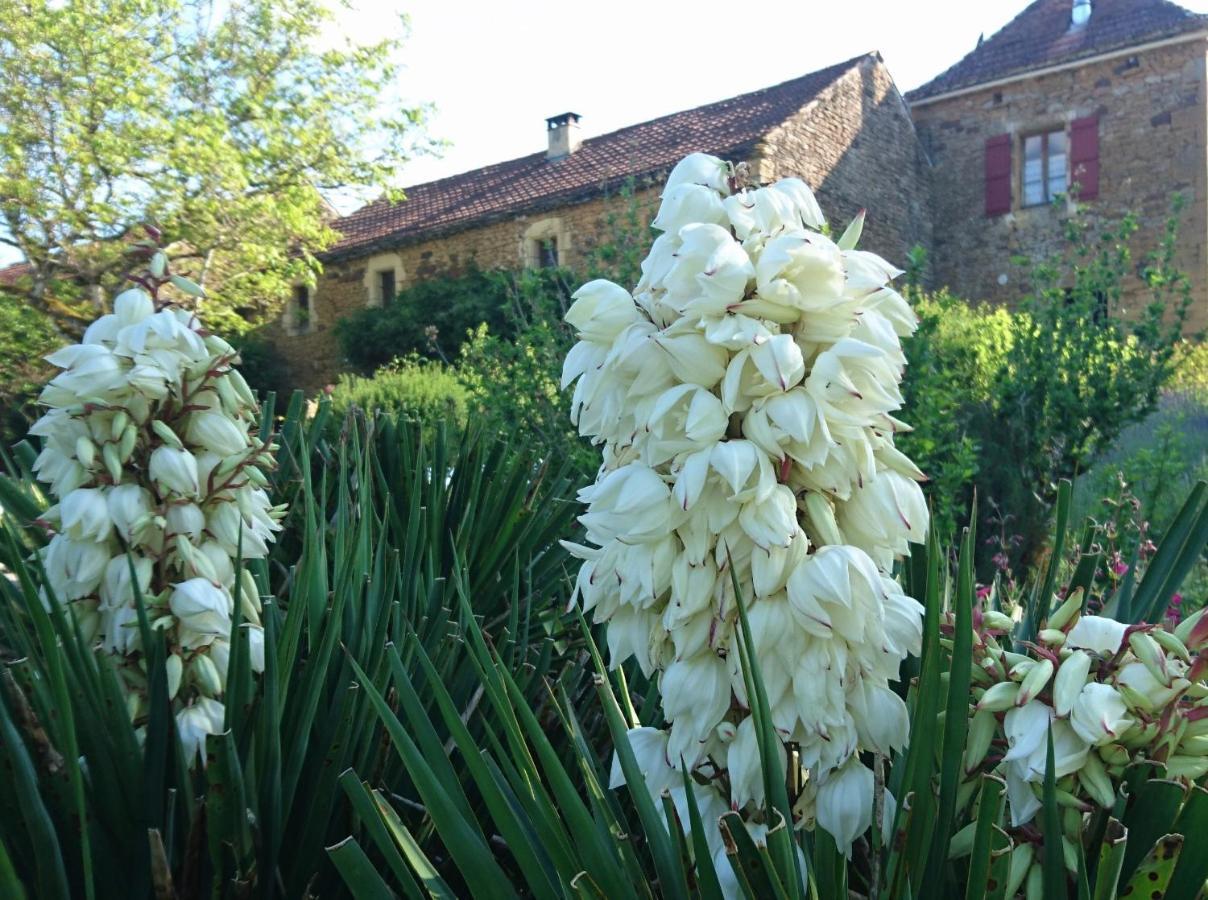 La Libellule And Le Papillon Gites At Les Leroux, Near Frayssinet-le-Gélat מראה חיצוני תמונה