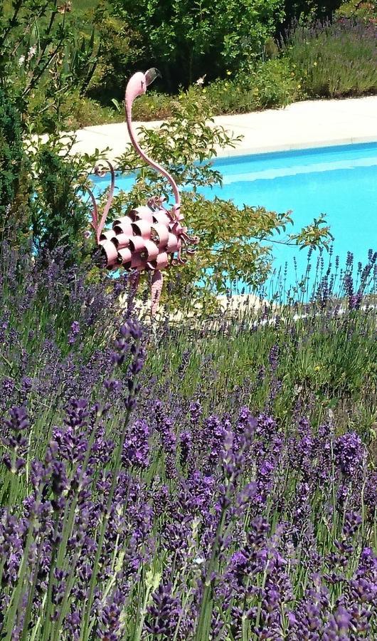 La Libellule And Le Papillon Gites At Les Leroux, Near Frayssinet-le-Gélat מראה חיצוני תמונה